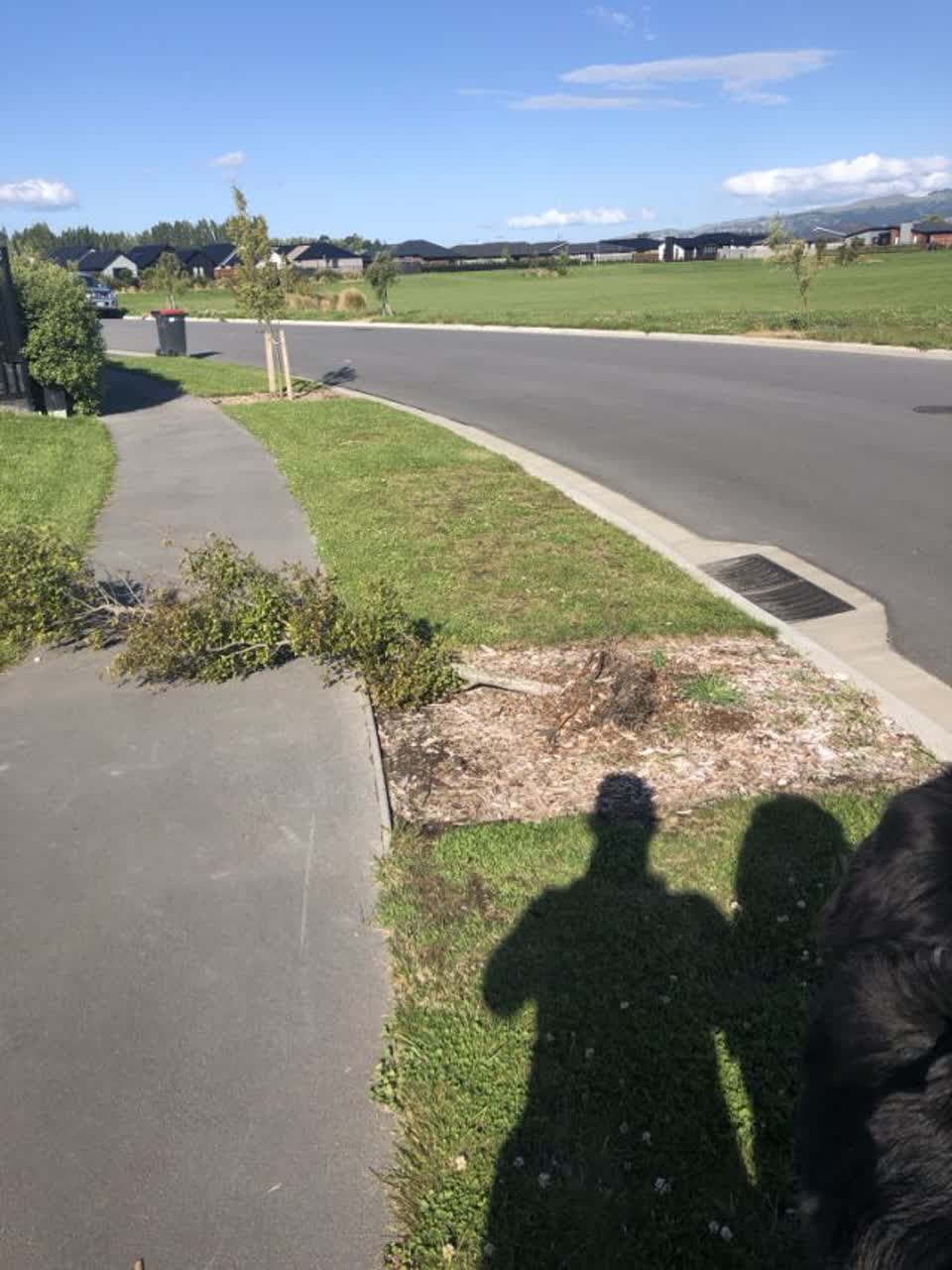 The photograph attached to this roading/streets report