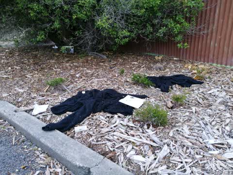 Rubbish/Recycling, a report photo