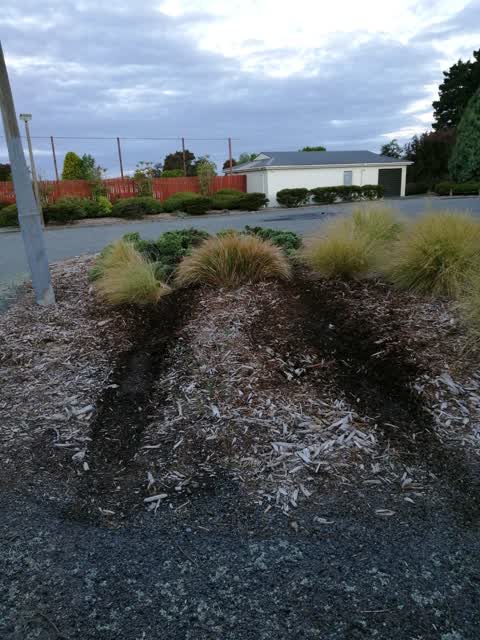 Parks, a report photo