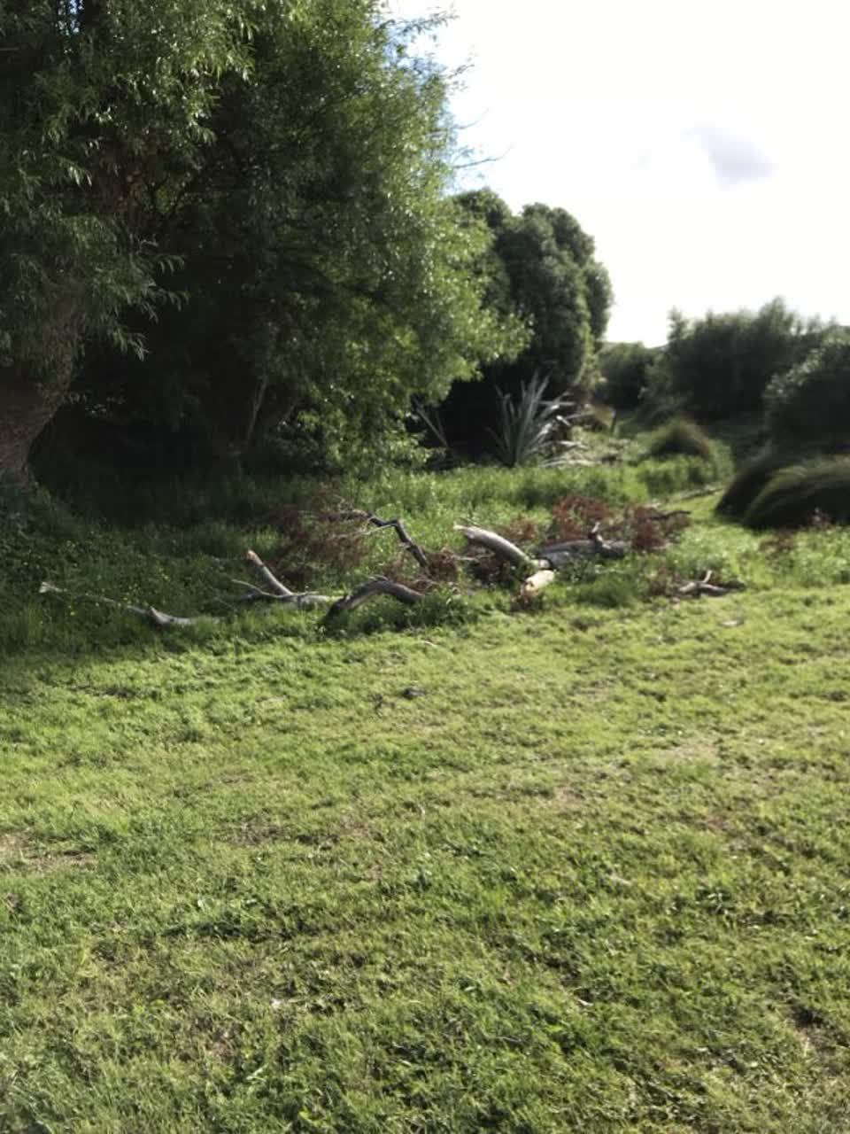 The photograph attached to this parks report