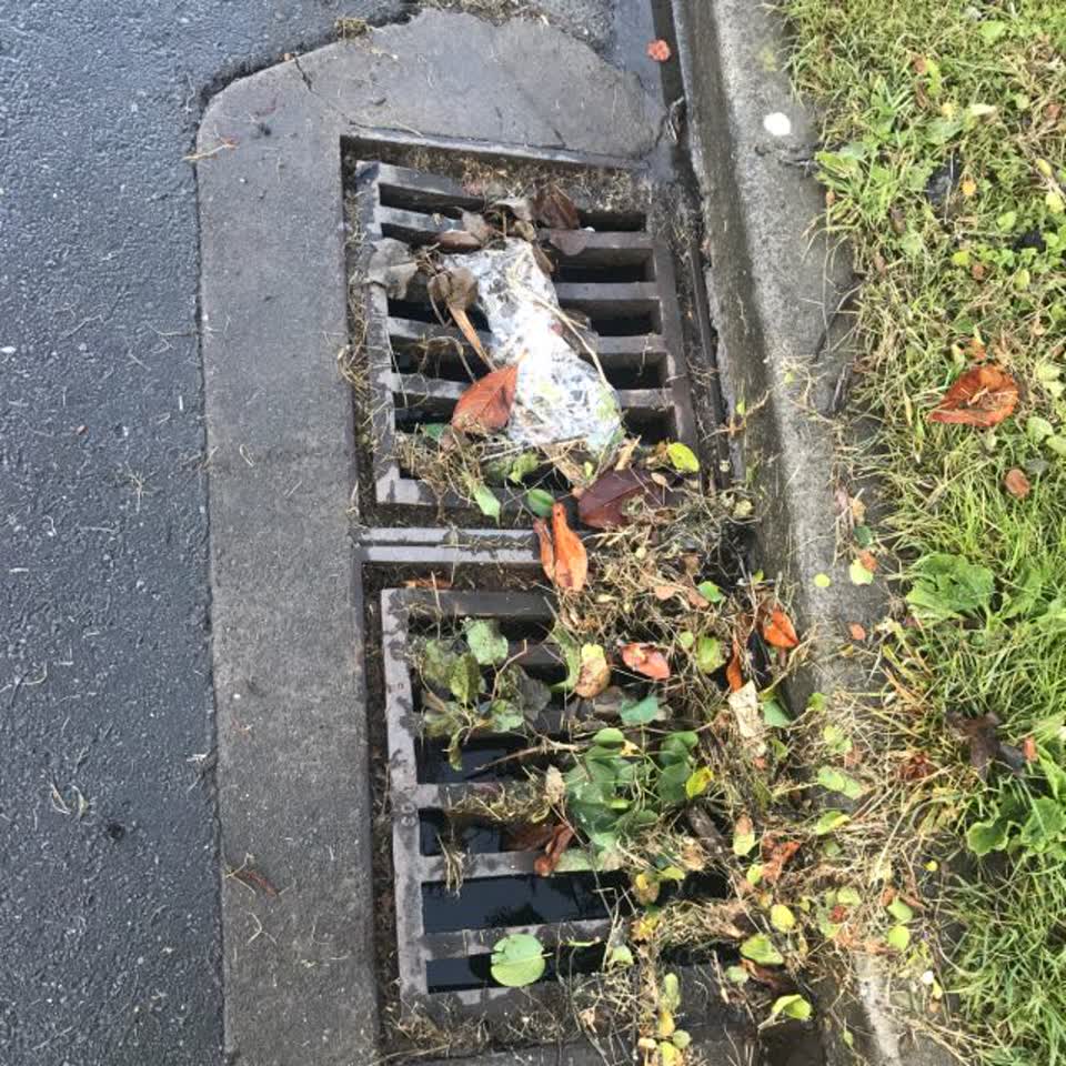 The photograph attached to this flooding report