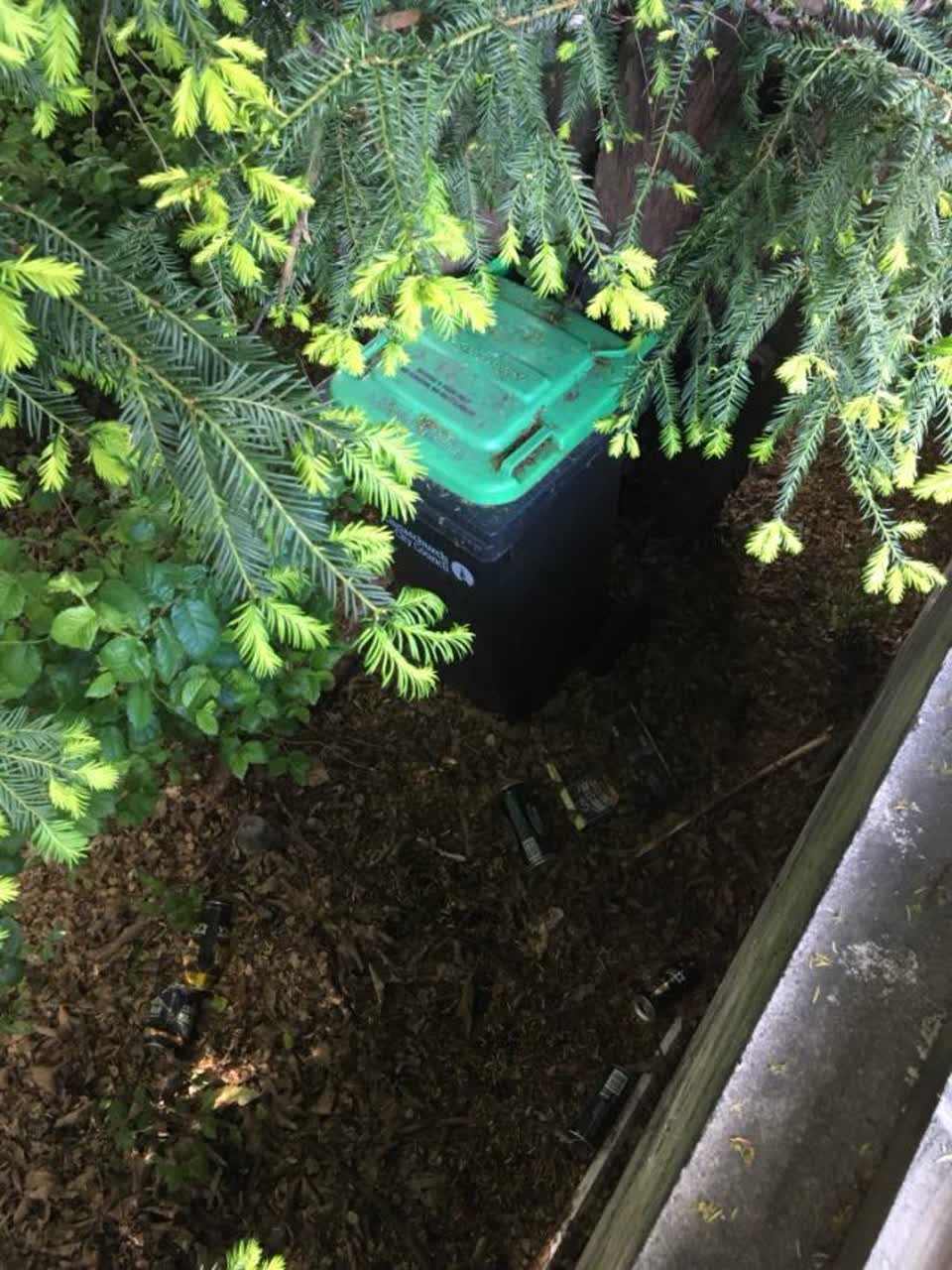 The photograph attached to this rubbish/recycling report