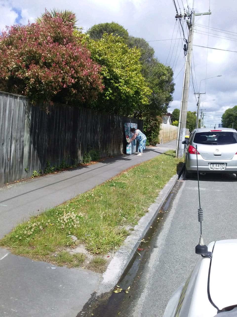 The photograph attached to this rubbish/recycling report