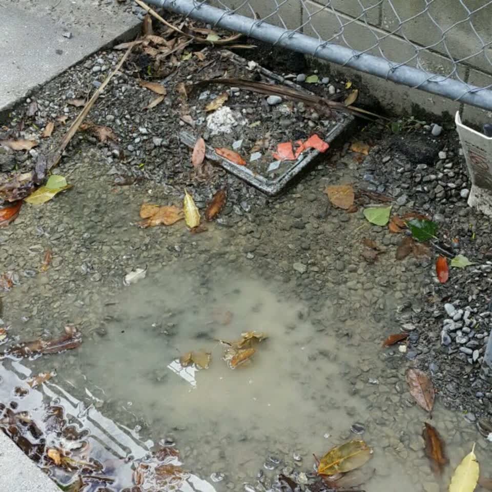 The photograph attached to this water supply report