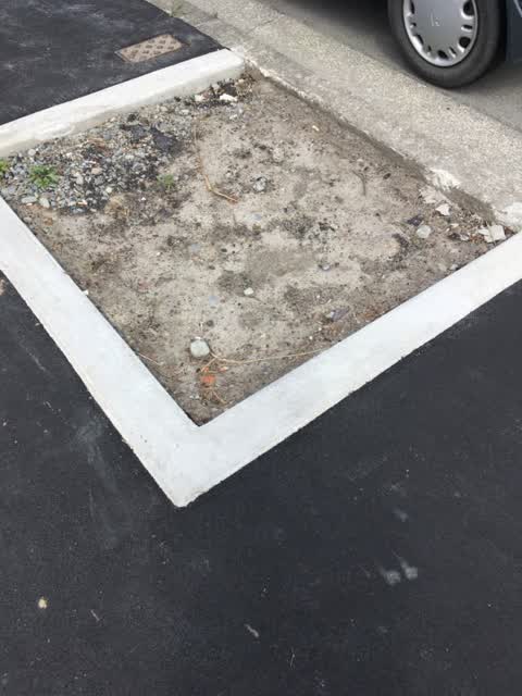 Roading/Streets, a report photo