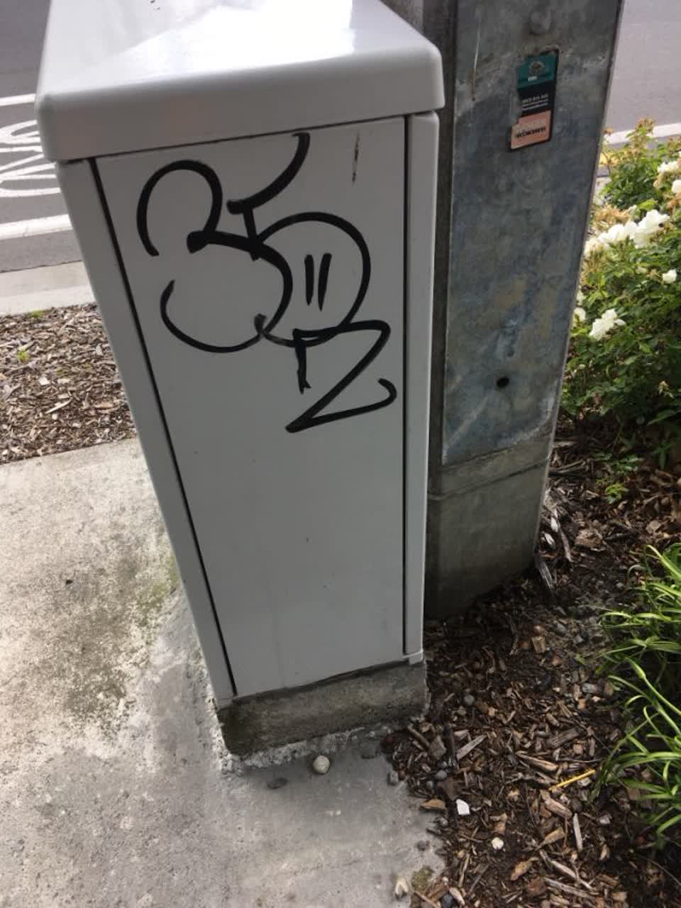 The photograph attached to this graffiti report