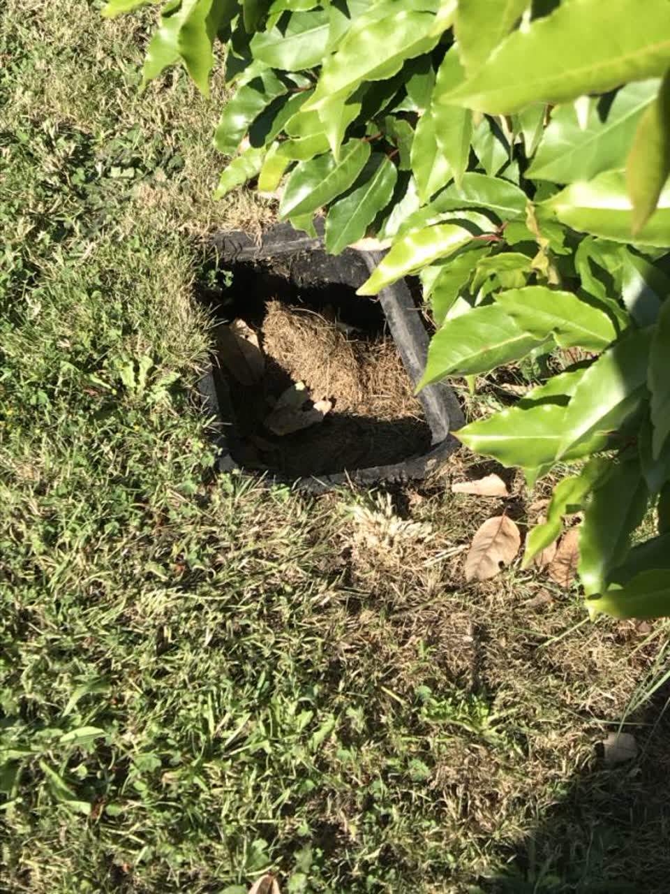 The photograph attached to this water supply report