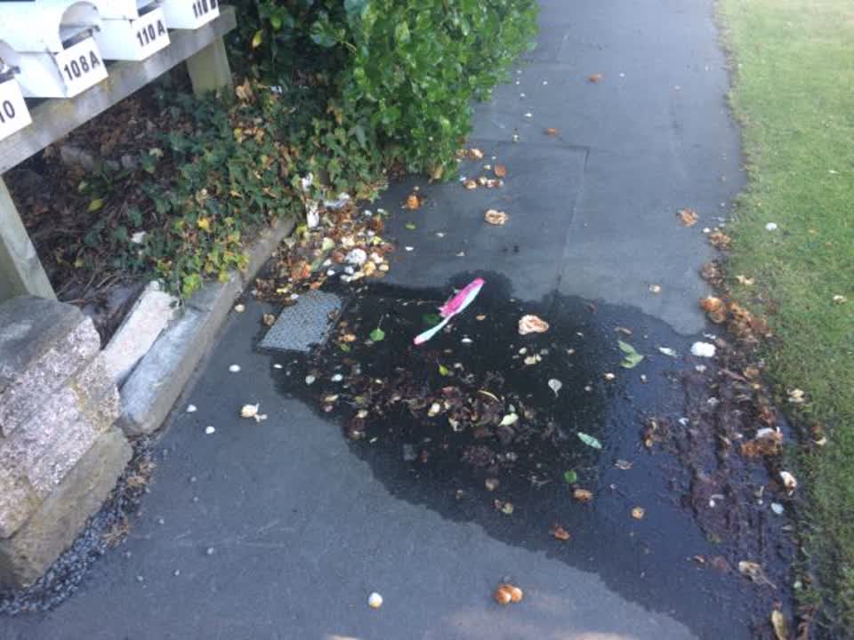 The photograph attached to this water supply report