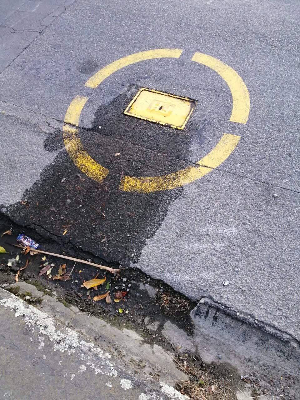 The photograph attached to this water supply report
