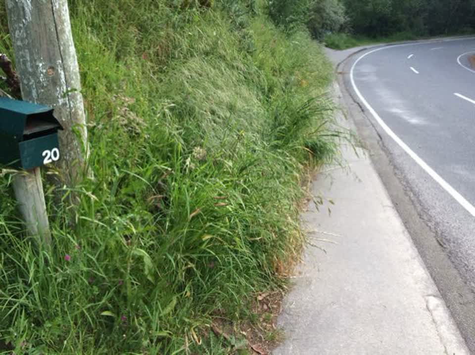 The photograph attached to this roading/streets report
