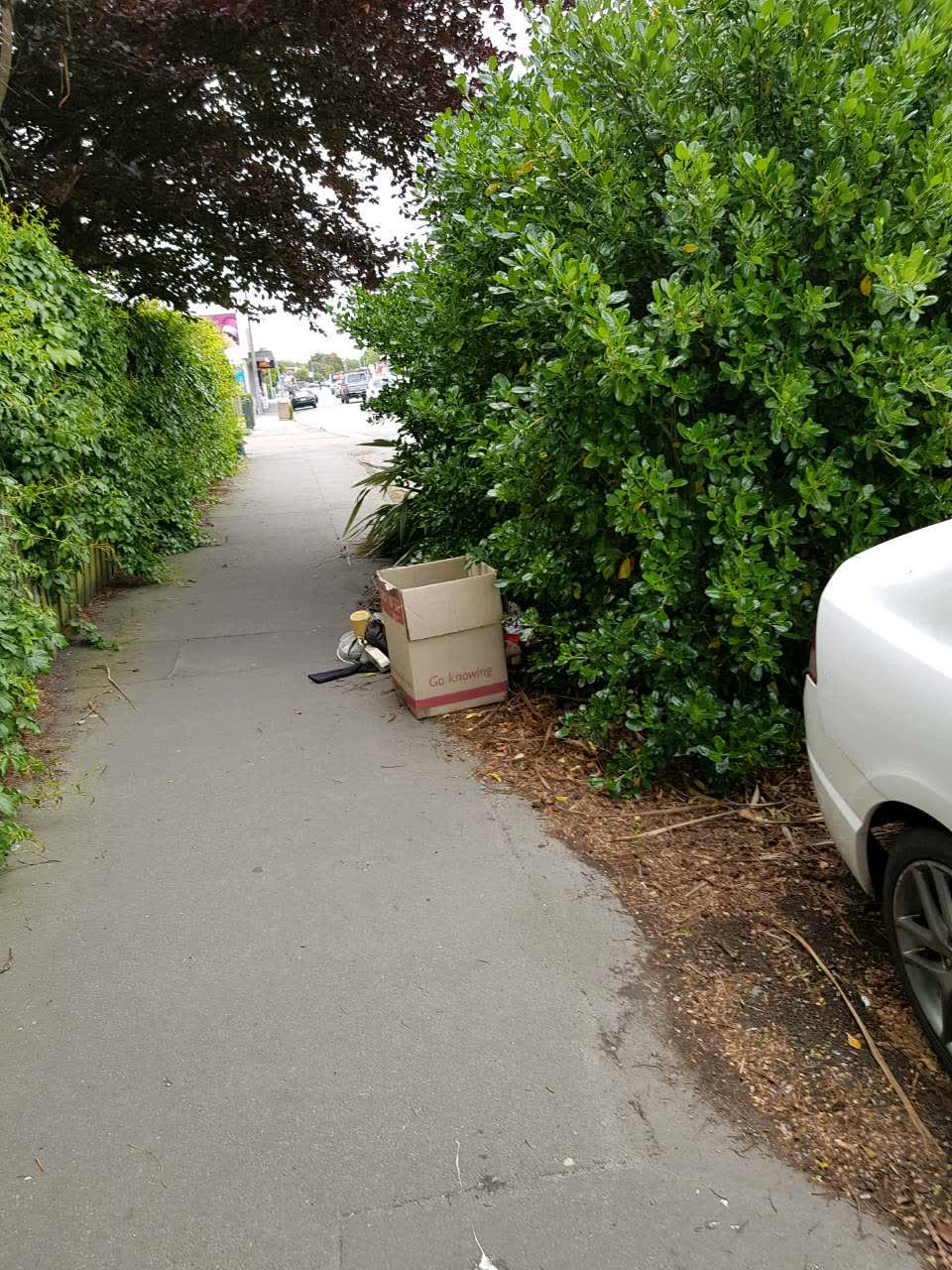 The photograph attached to this rubbish/recycling report