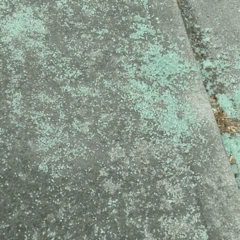 Roading/Streets, a report photo