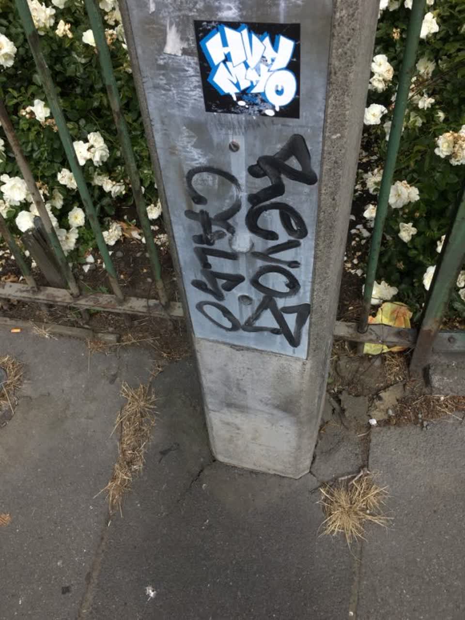 The photograph attached to this graffiti report