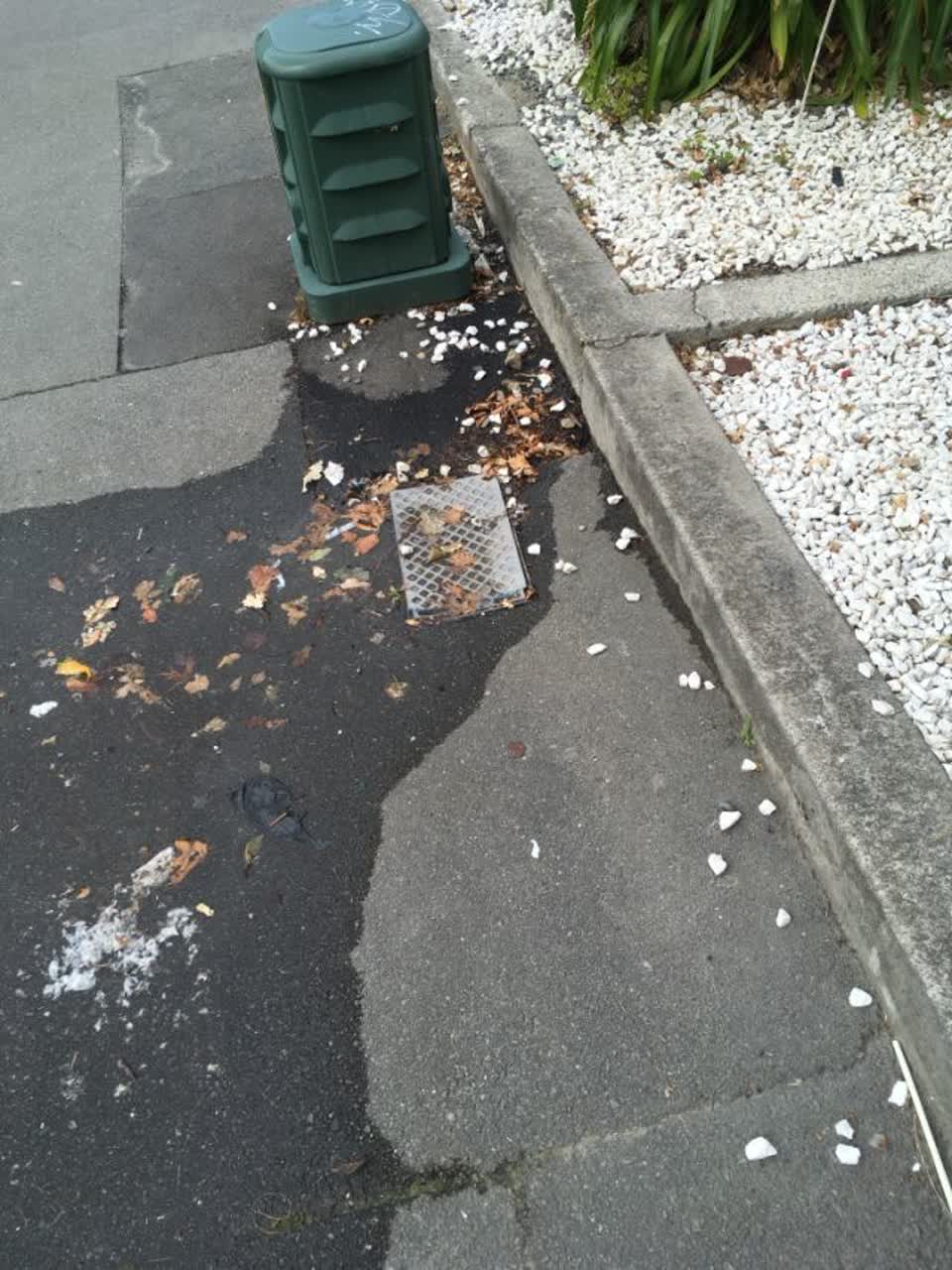 The photograph attached to this roading/streets report