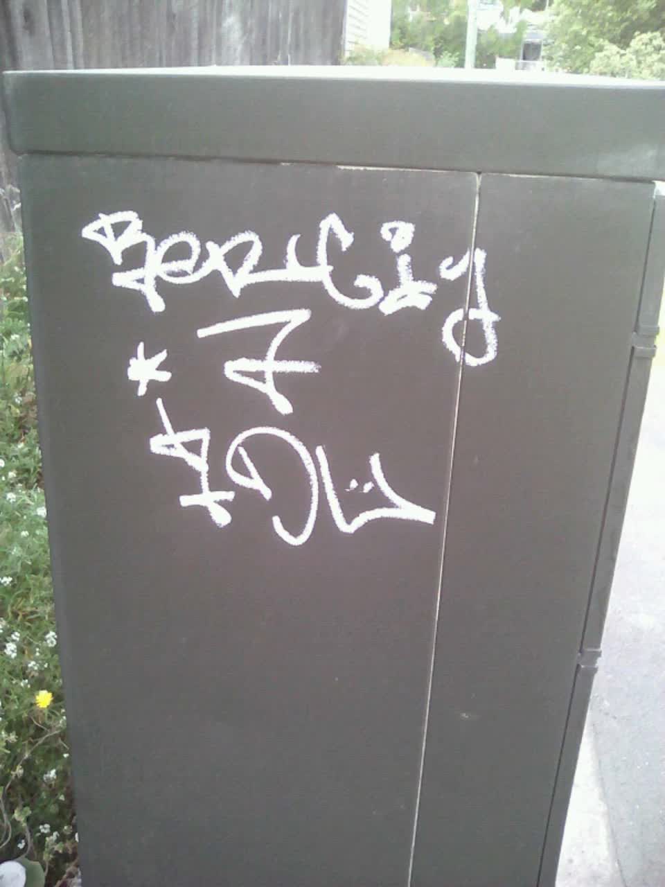 The photograph attached to this graffiti report