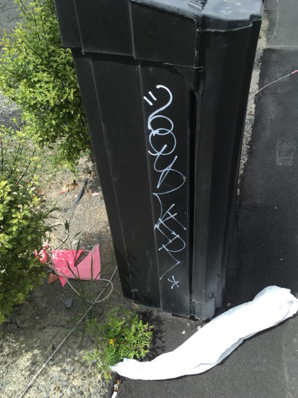 The photograph attached to this graffiti report