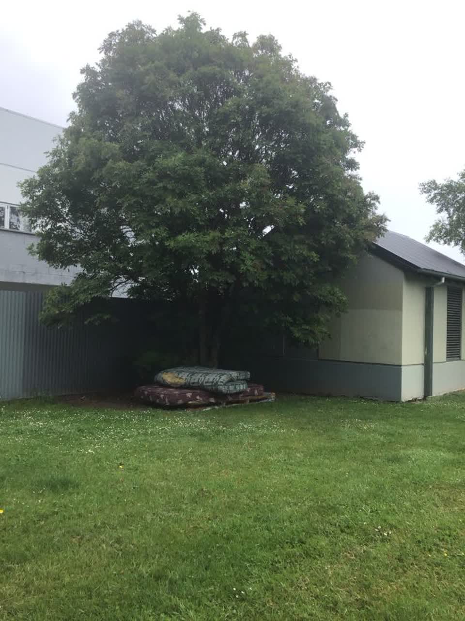 The photograph attached to this parks report