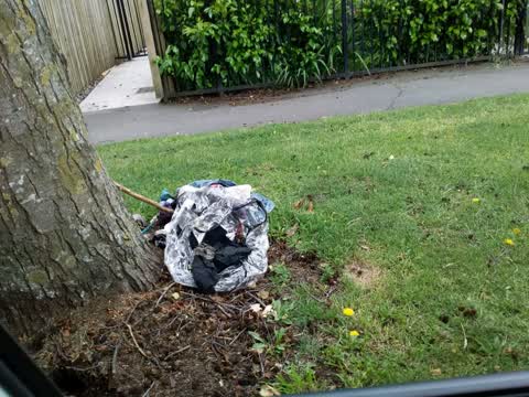 Rubbish/Recycling — a report photo