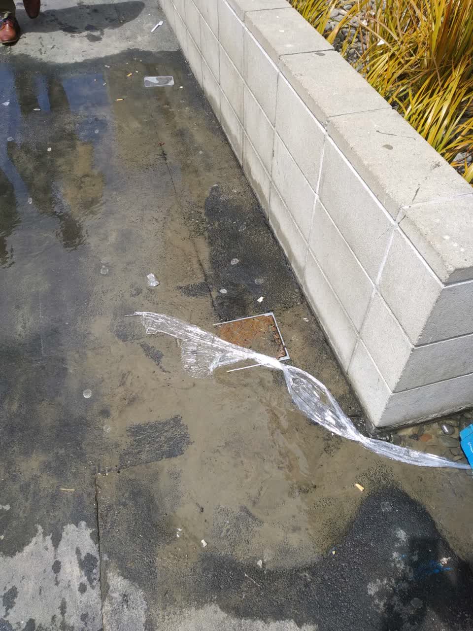 The photograph attached to this water supply report