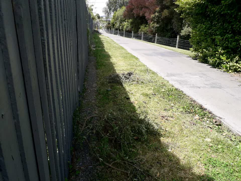 The photograph attached to this parks report