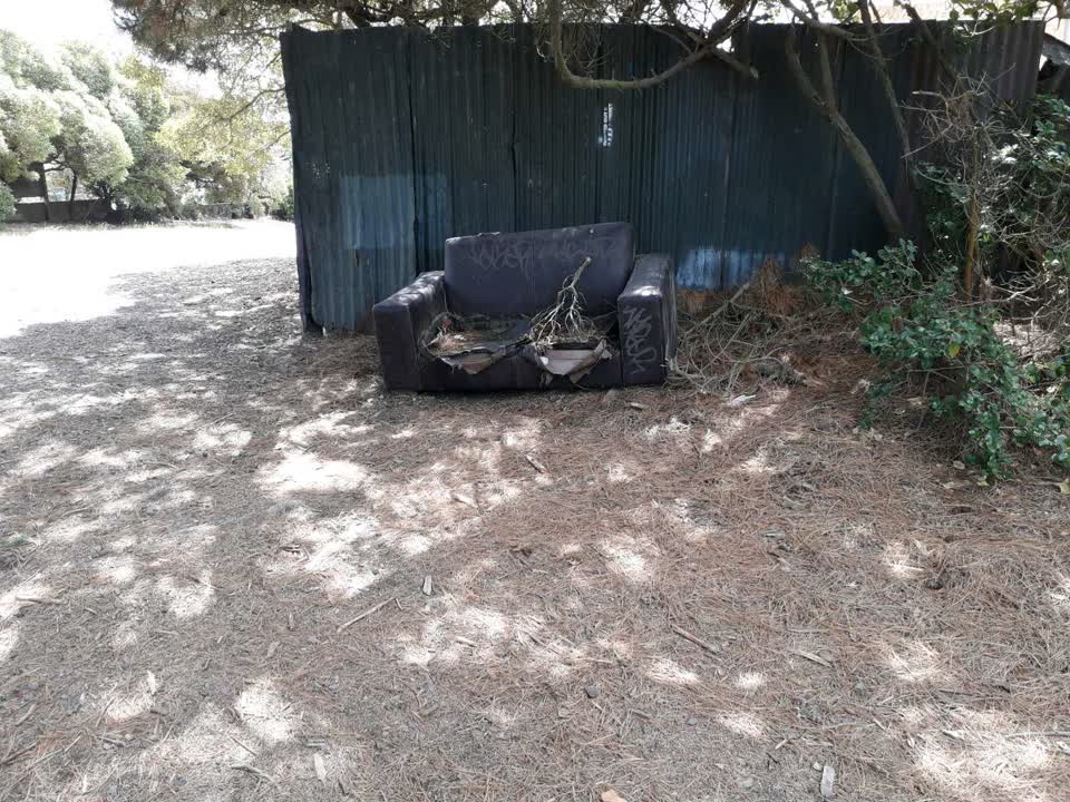 The photograph attached to this parks report