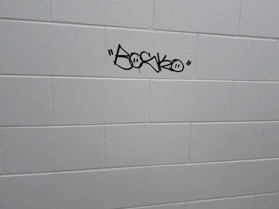The photograph attached to this graffiti report