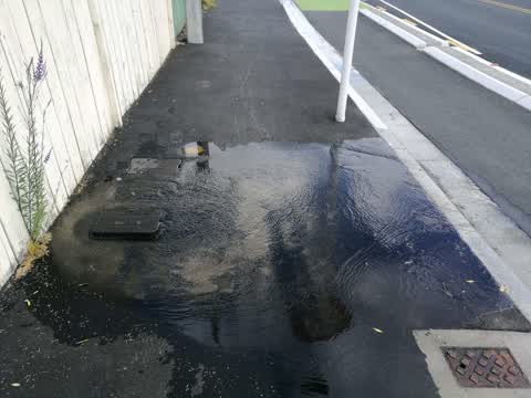 Flooding, a report photo