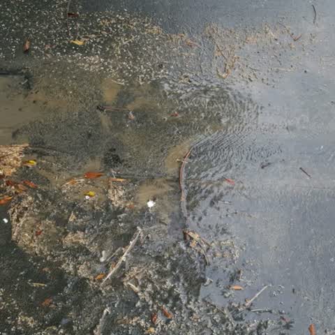 Water Supply, a report photo