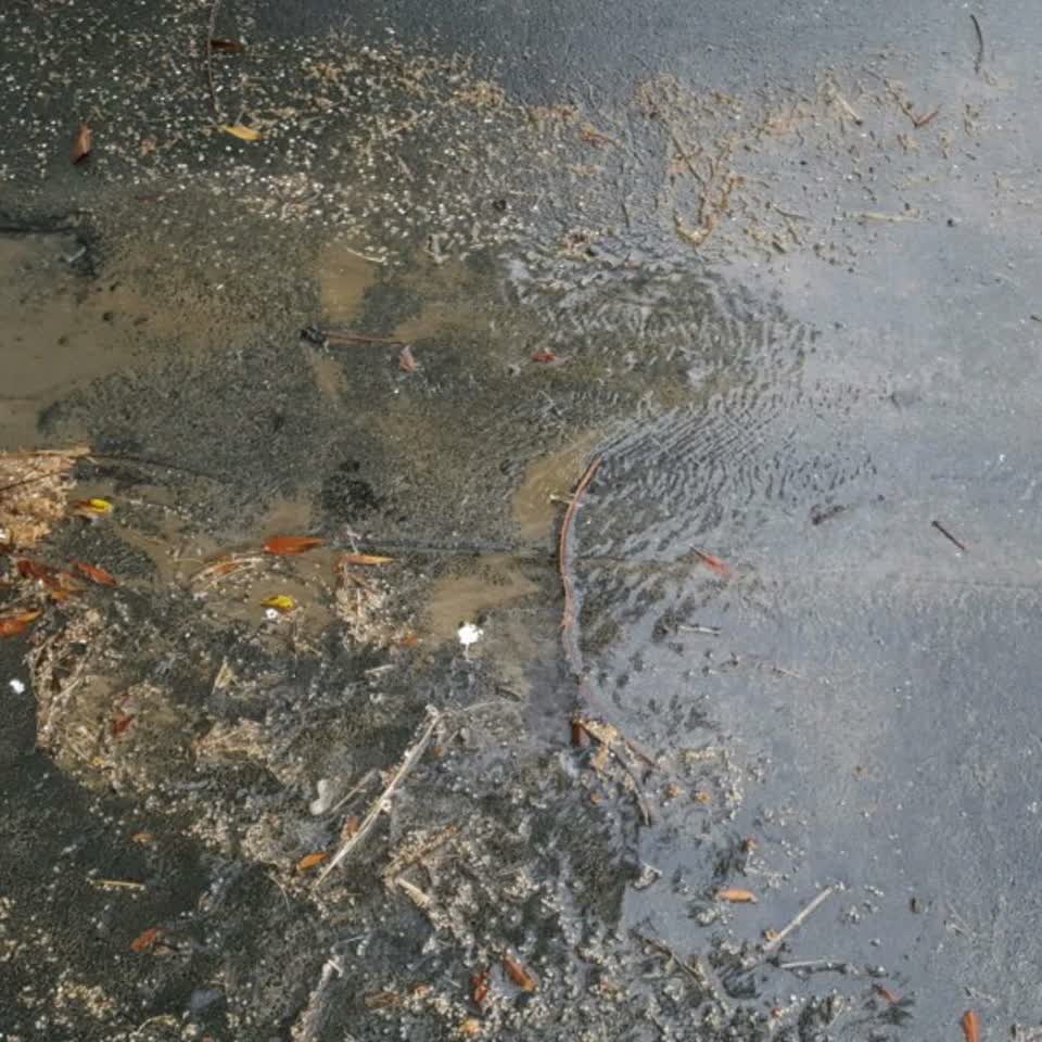 The photograph attached to this water supply report