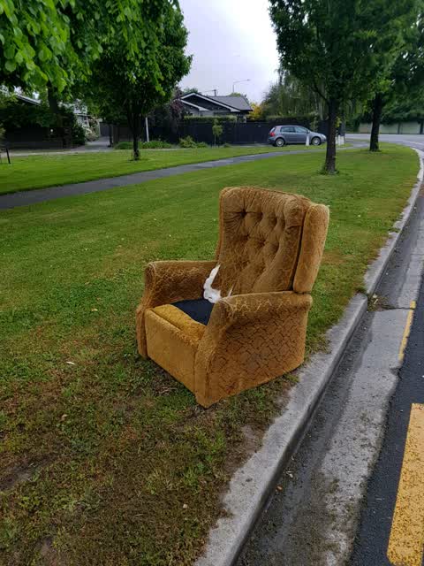 Rubbish/Recycling, a report photo