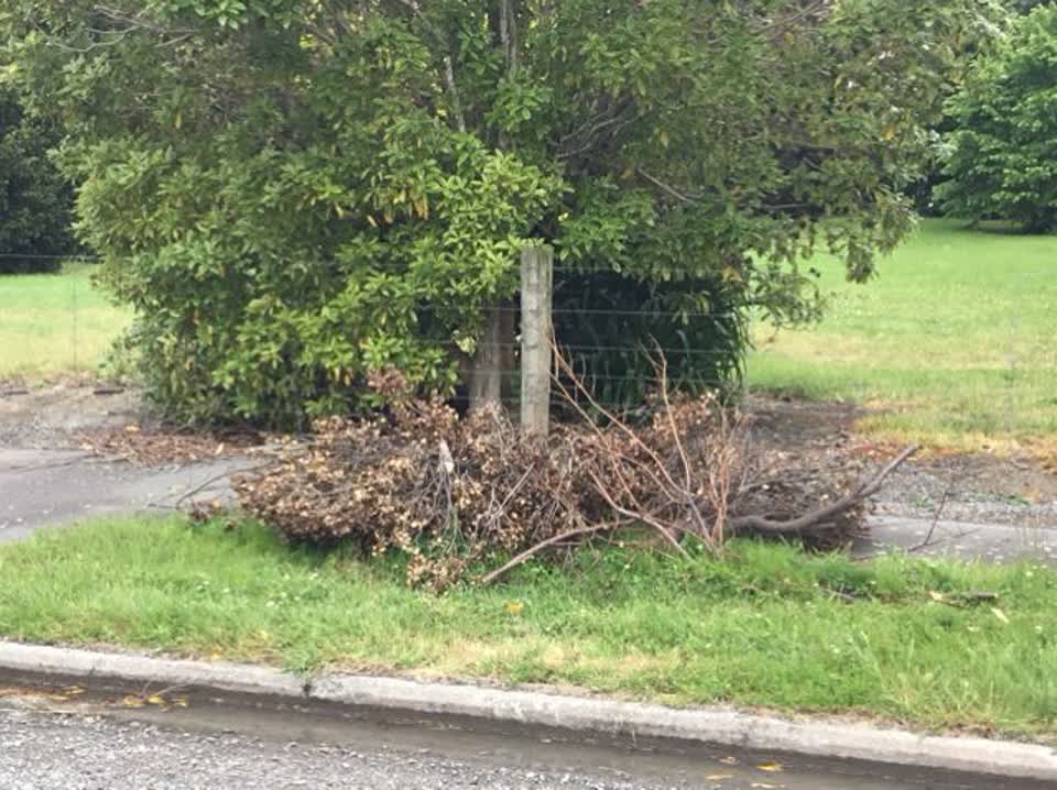 The photograph attached to this rubbish/recycling report