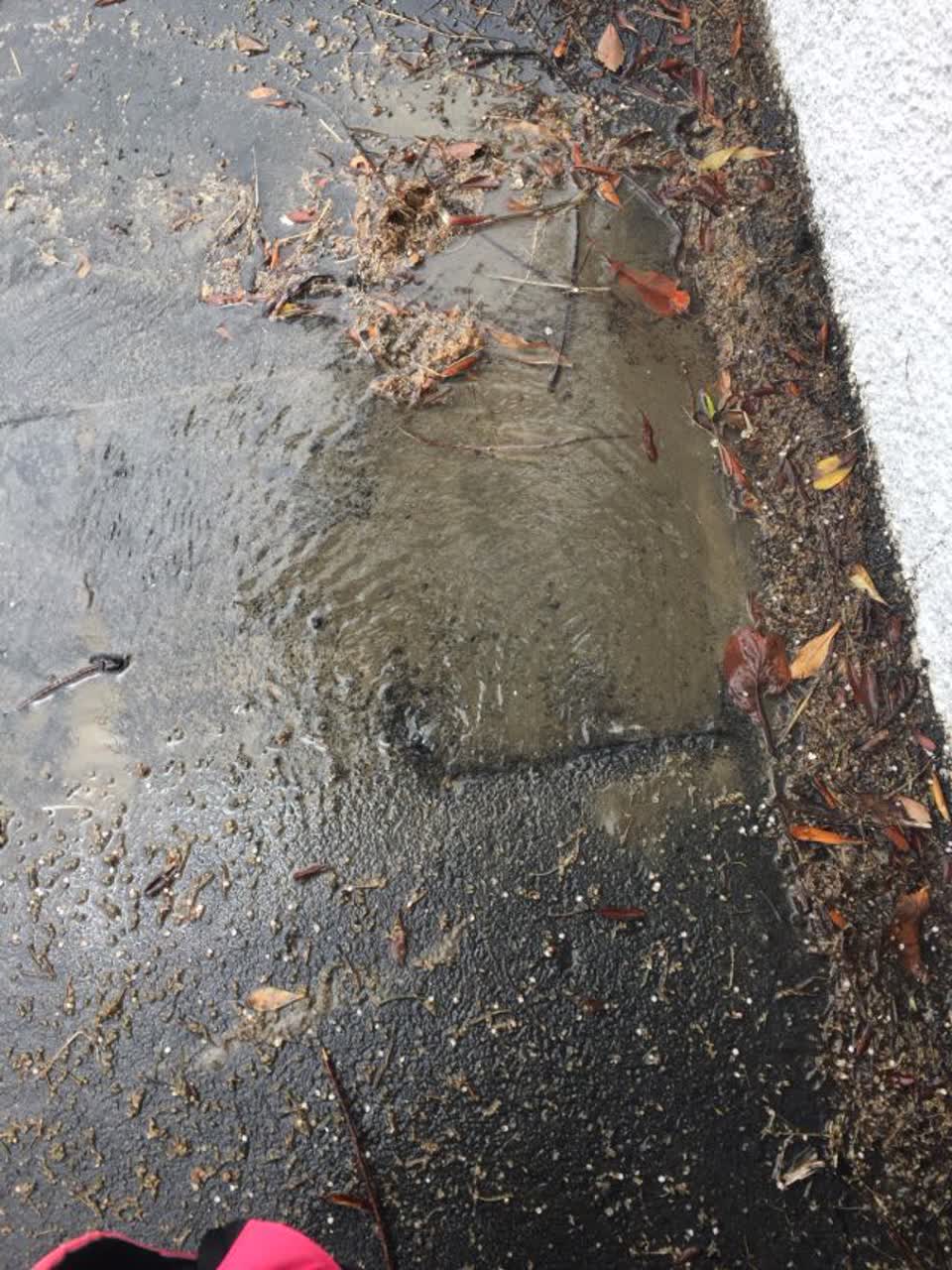 The photograph attached to this water supply report