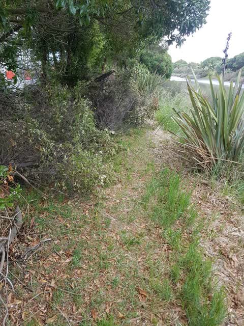 Parks, a report photo