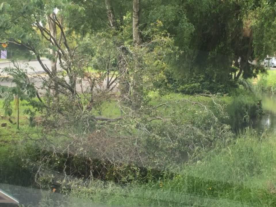 The photograph attached to this parks report
