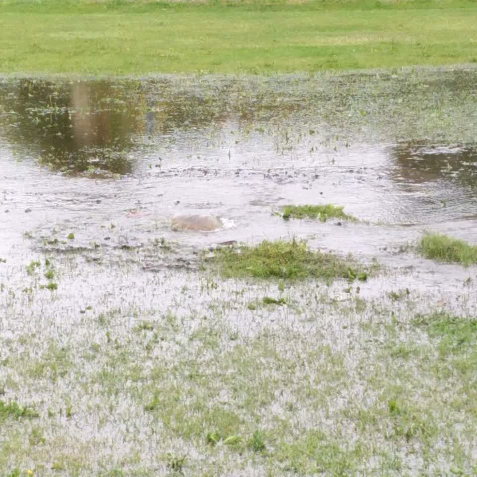 The photograph attached to this flooding report