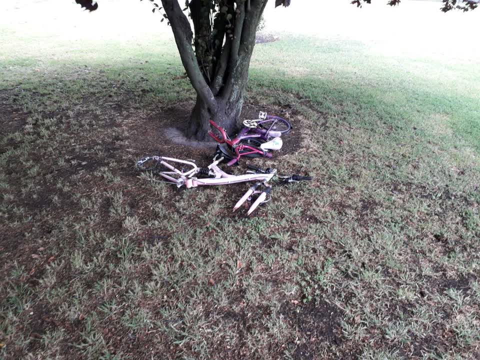 The photograph attached to this parks report
