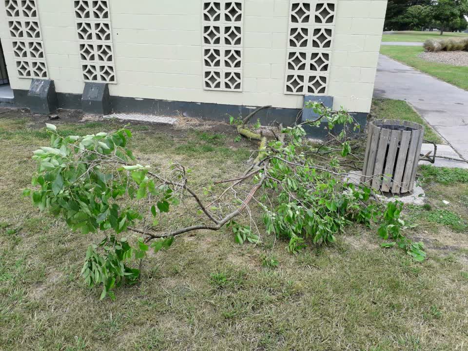 The photograph attached to this parks report