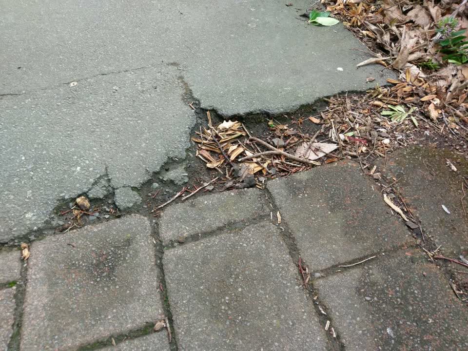 The photograph attached to this roading/streets report