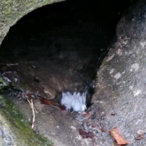 Wastewater/Stormwater, a report photo