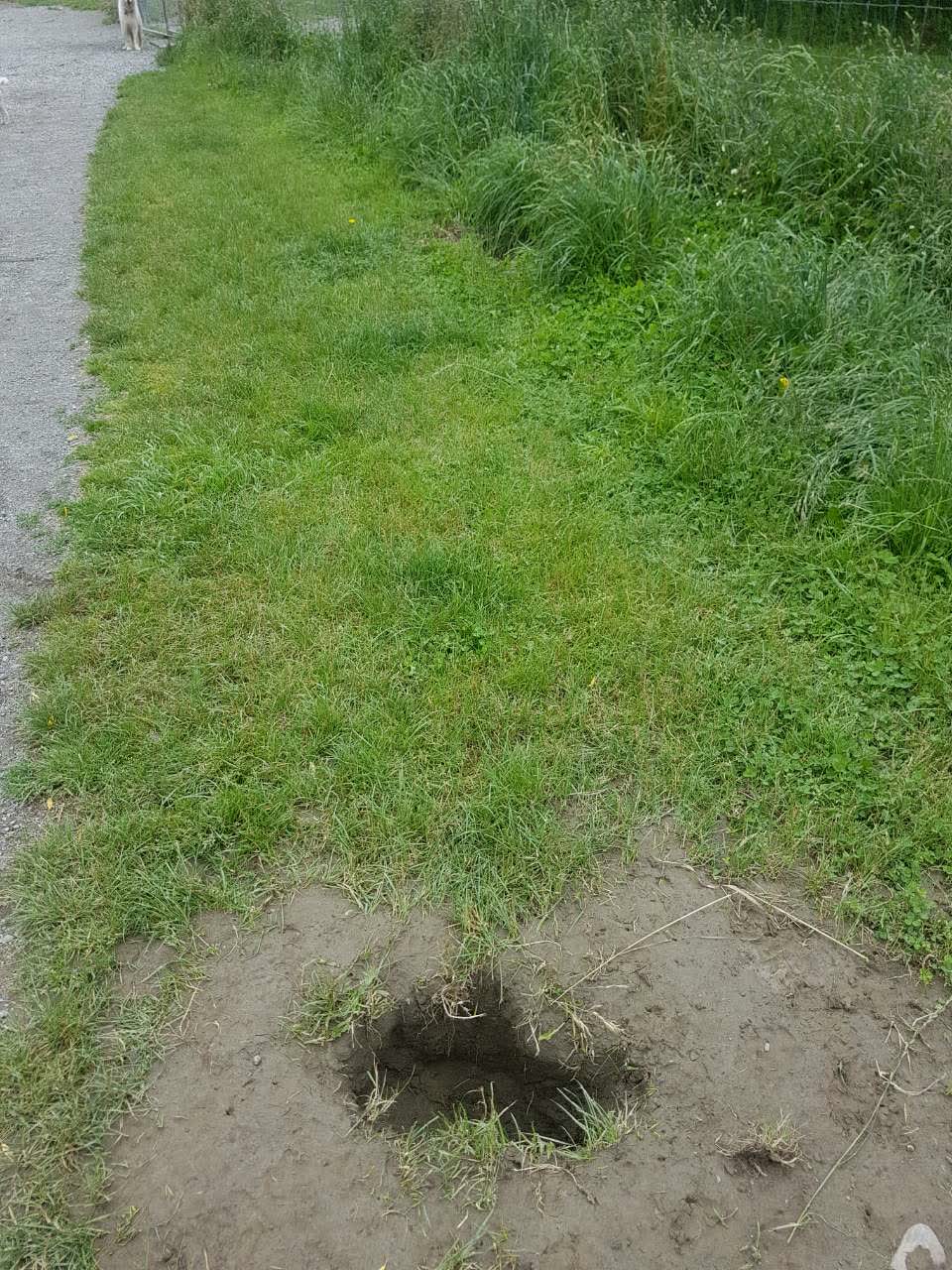 The photograph attached to this parks report