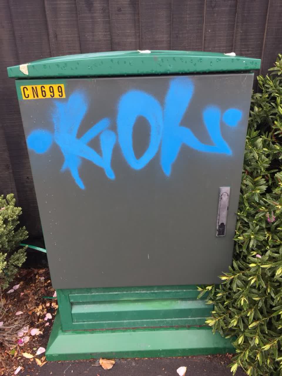The photograph attached to this graffiti report