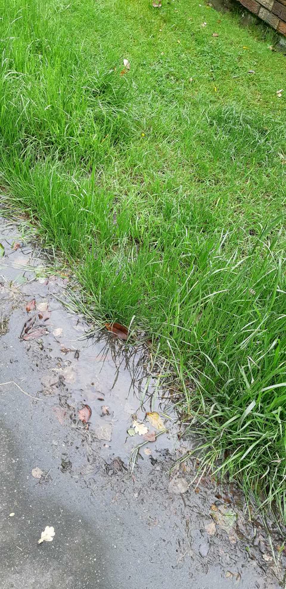 The photograph attached to this water supply report