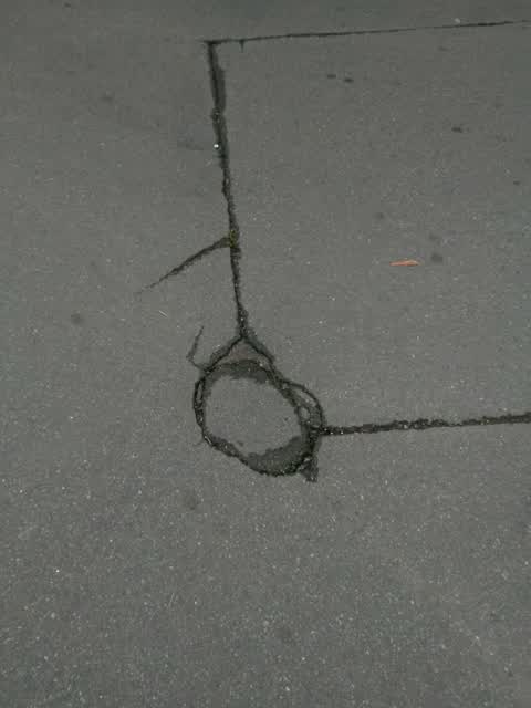 Roading/Streets, a report photo