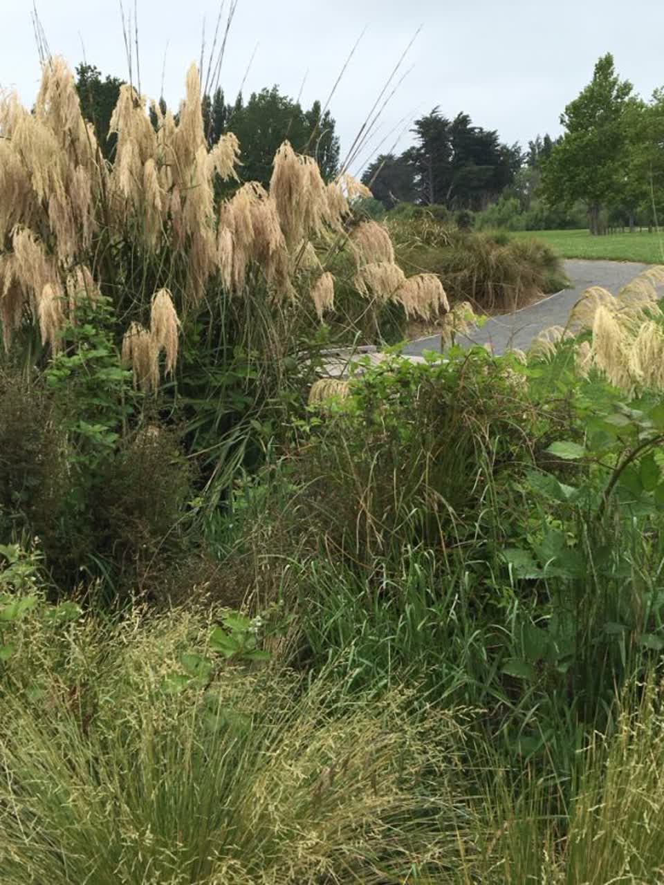 The photograph attached to this parks report