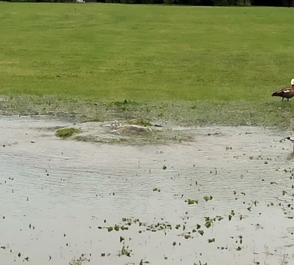 The photograph attached to this wastewater/stormwater report