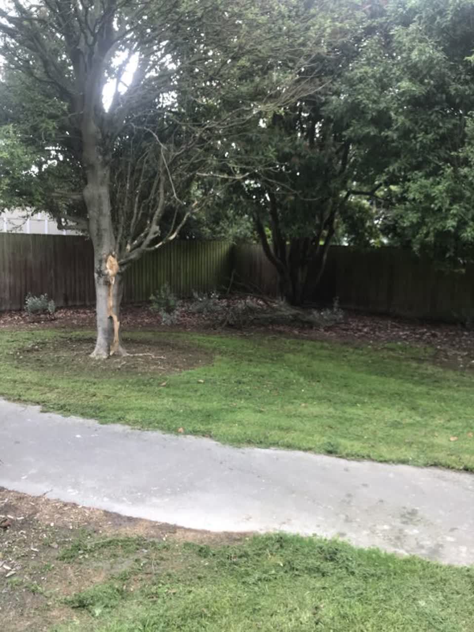 The photograph attached to this parks report