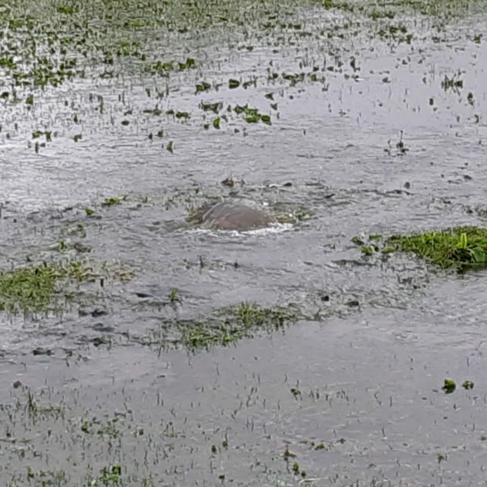 The photograph attached to this wastewater/stormwater report