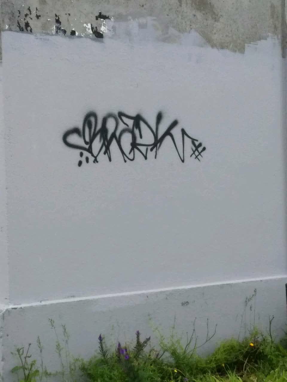 The photograph attached to this graffiti report