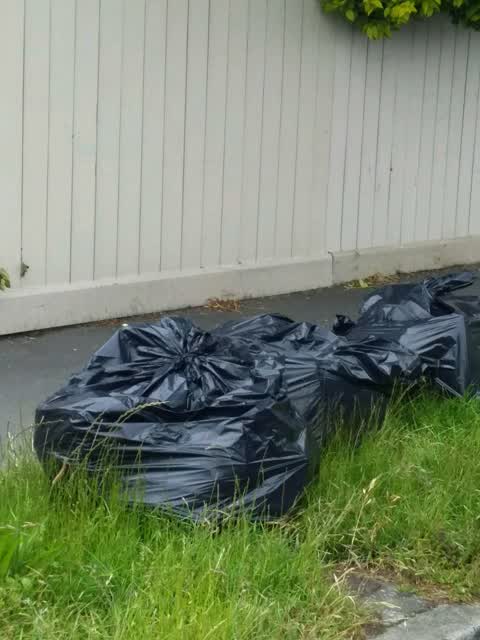 Rubbish/Recycling, a report photo