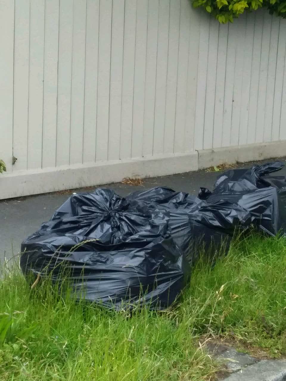 The photograph attached to this rubbish/recycling report